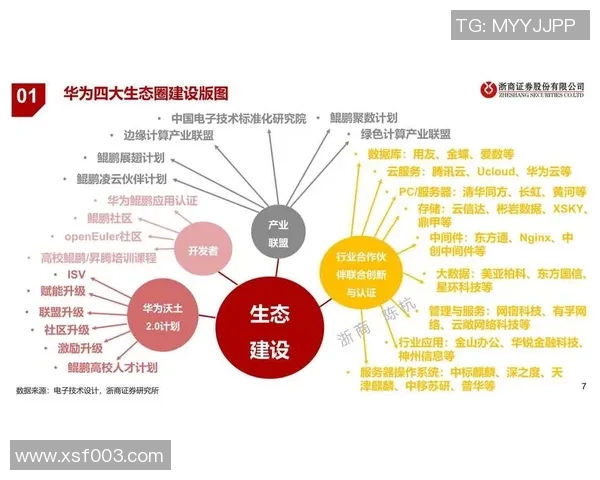 南京篮球队技术分析与战术创新的深度探讨与展望